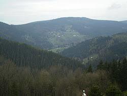 Šeřín