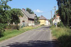 Drnovec