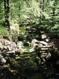 Kamenice