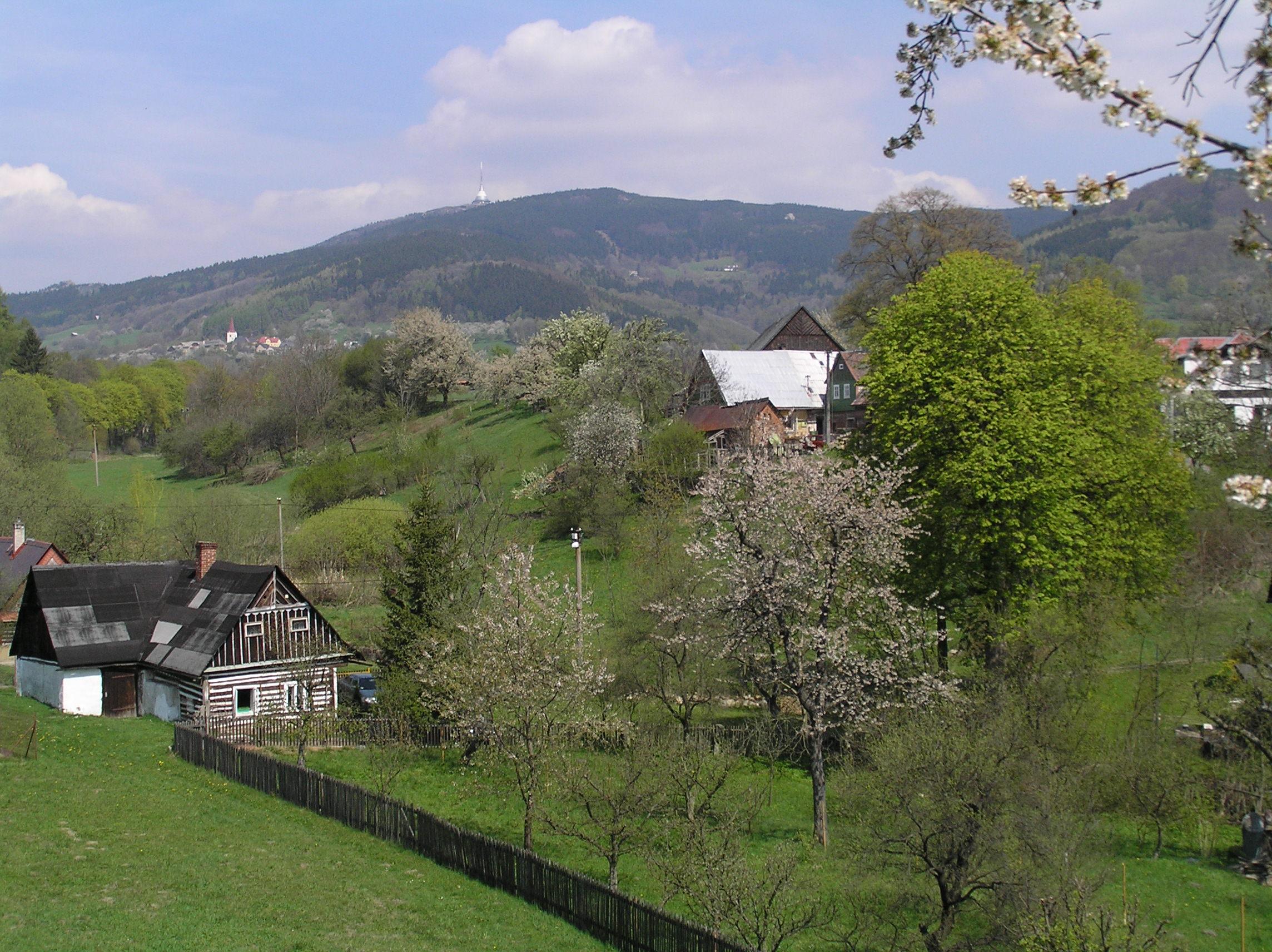 Javorník