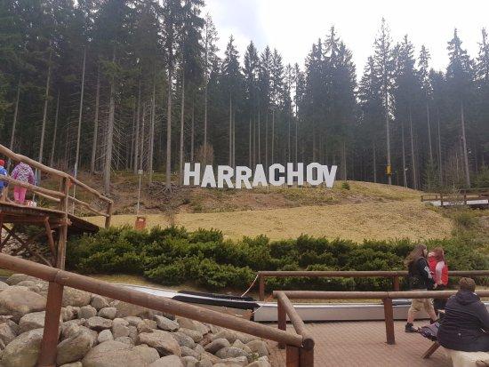 Bobsleigh & MonkeyPark Spindleruv Mlyn a Harrachov