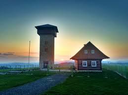 U borovice